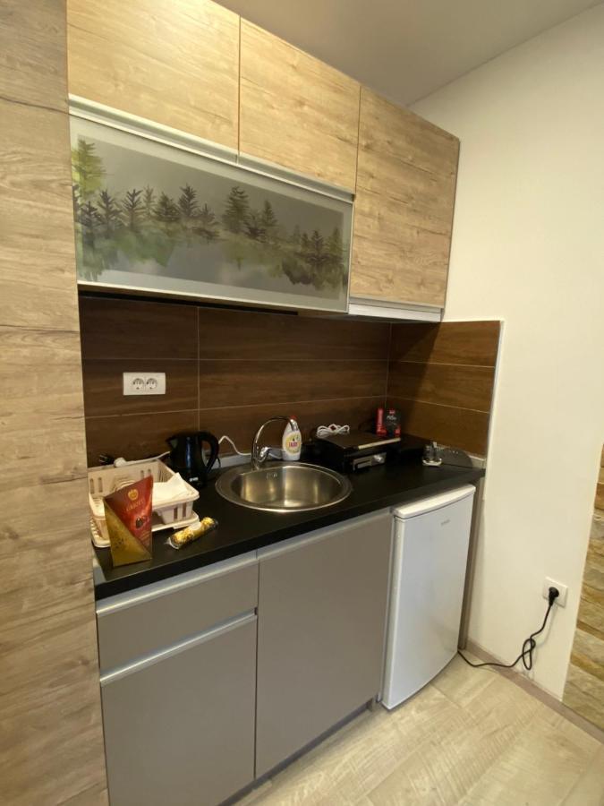 Kopaonik Apartmani Milmari - Katic Dış mekan fotoğraf